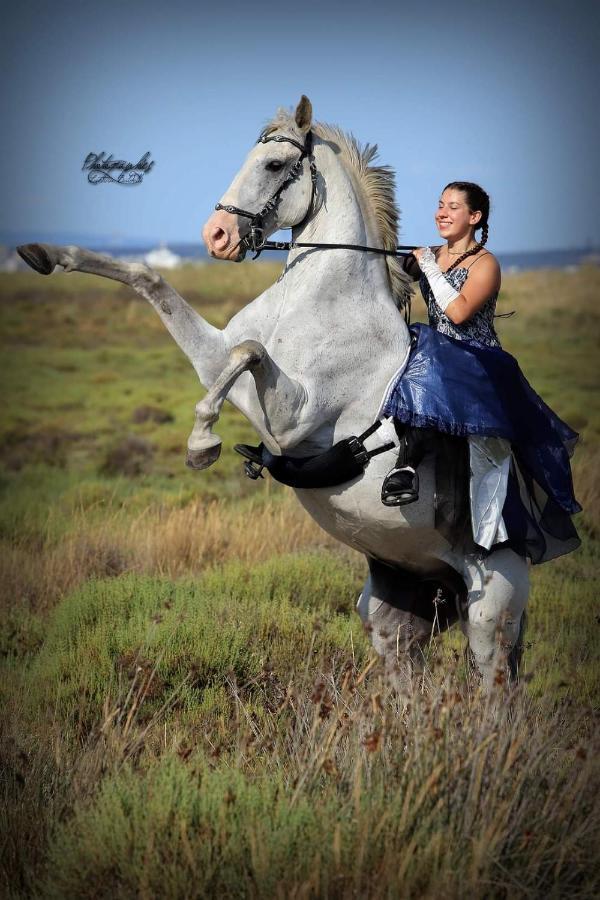 Kembs Repos Rouge-Plaisir Au Milieu Des Chevaux 아파트 외부 사진