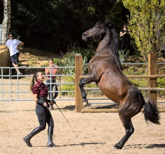 Kembs Repos Rouge-Plaisir Au Milieu Des Chevaux 아파트 외부 사진